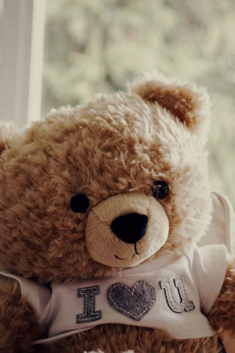 collection ours en peluche la compagnie de la peluche Image