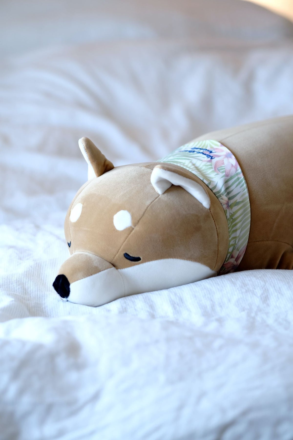 Collection peluche chien Image