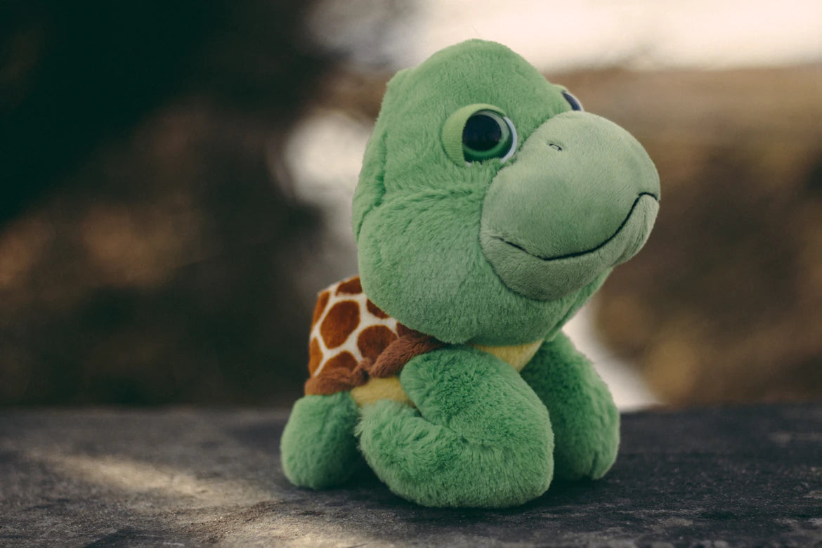 Peluche tortue Image