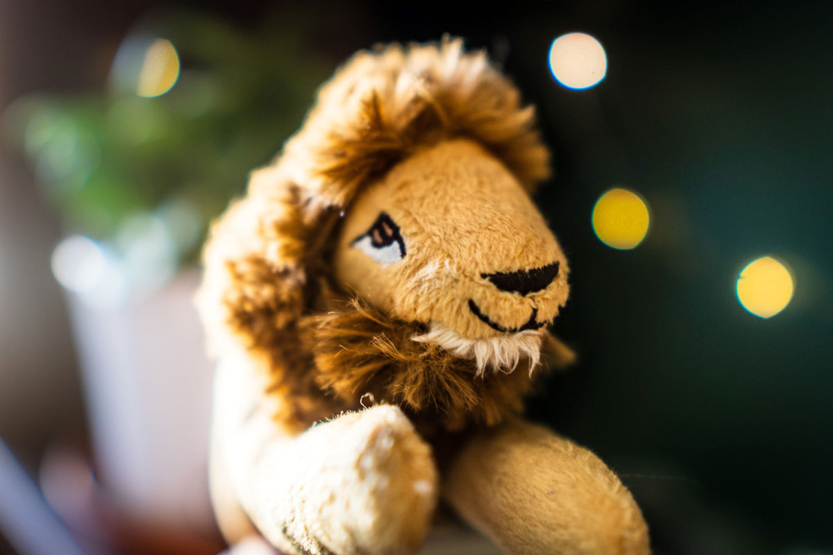 Collection peluche lion Image