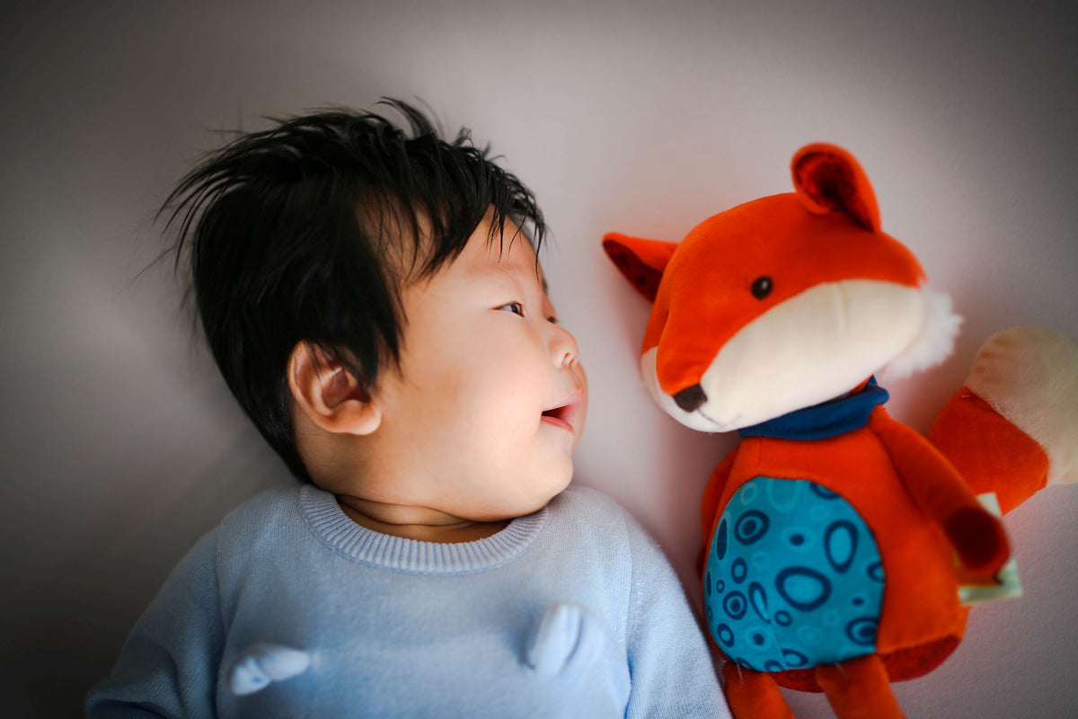 Collection peluche renard Image