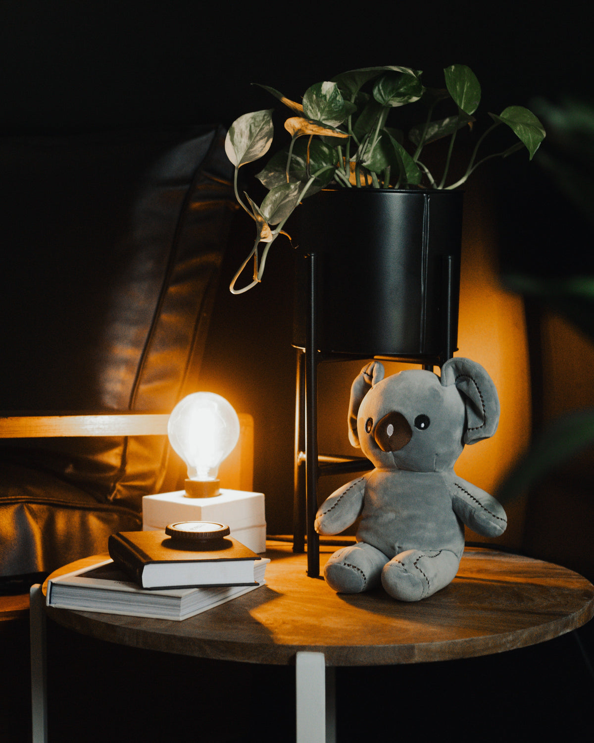 Collection peluche koala Image