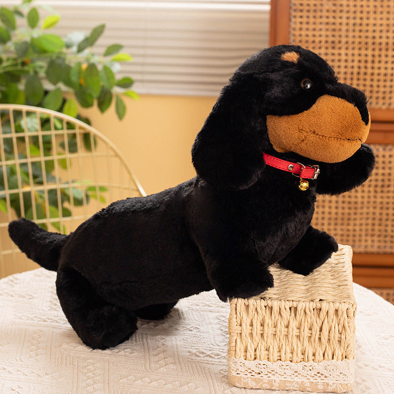 Peluche teckel coloré avec son collier rouge-noir