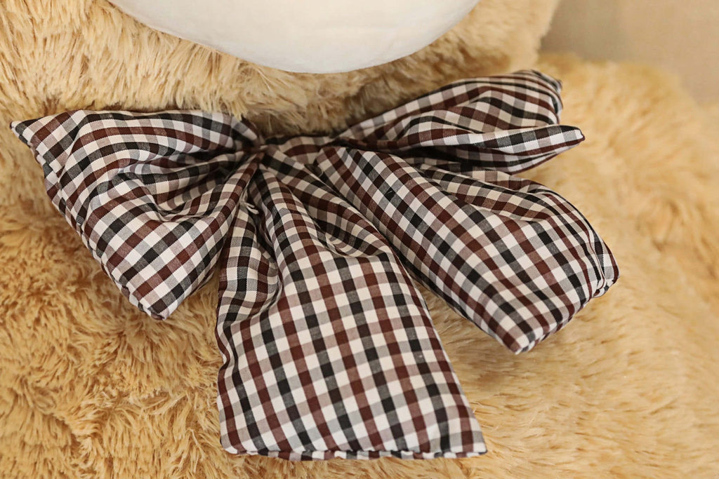Ours en peluche géant et coloré