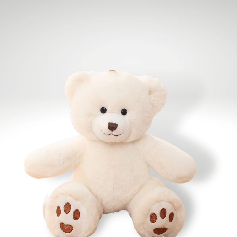 Ours en peluche petit câlin et mignon 35cm / Blanc