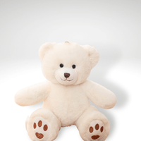 Ours en peluche petit câlin et mignon 35cm / Blanc
