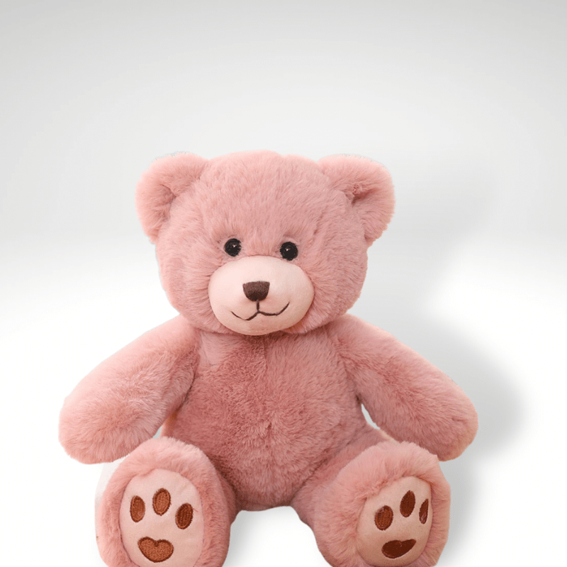 Ours en peluche petit câlin et mignon 35cm / Rose