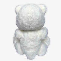 Ours en peluche sans déguisement