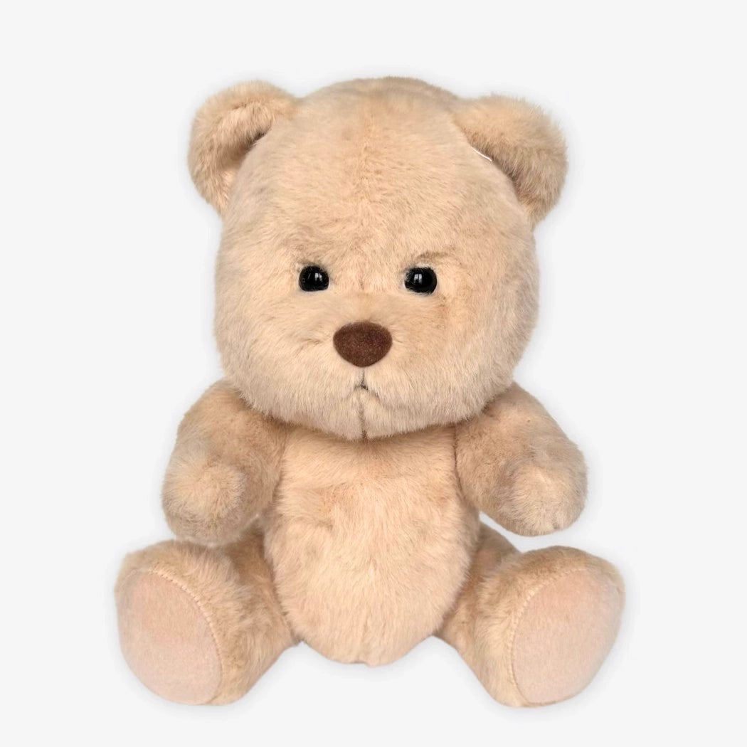 Ours en peluche sans déguisement