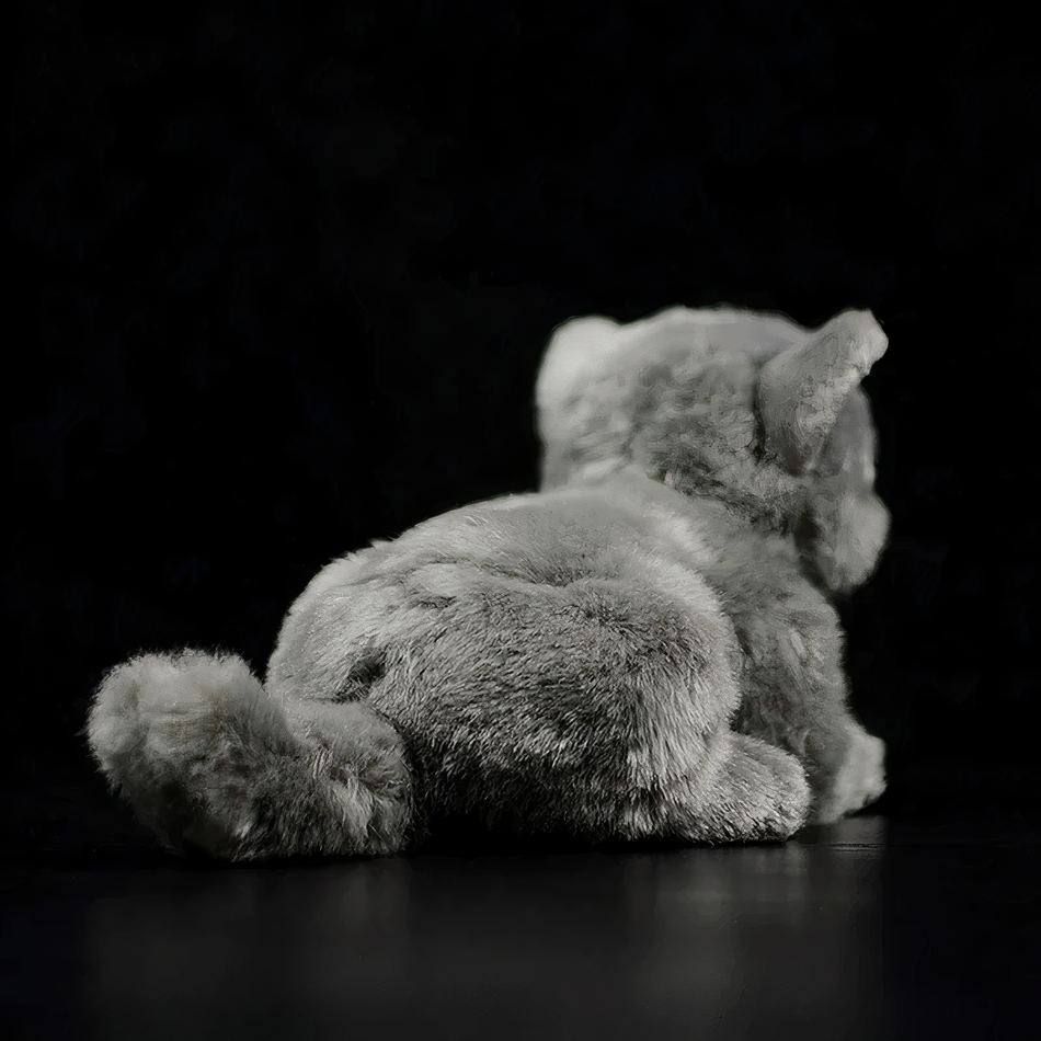 Peluche chat britannique gris doux câlin enfant La compagnie de la peluche