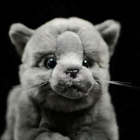 Peluche chat britannique gris doux câlin enfant La compagnie de la peluche