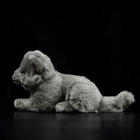 Peluche chat britannique gris doux câlin enfant La compagnie de la peluche