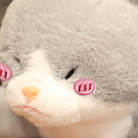 Peluche chat croisé avec un requin