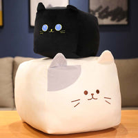 Peluche chat en forme de boîte