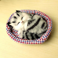 Peluche chat endormi doux câlin univers apaisant Modèle 4 La compagnie de la peluche