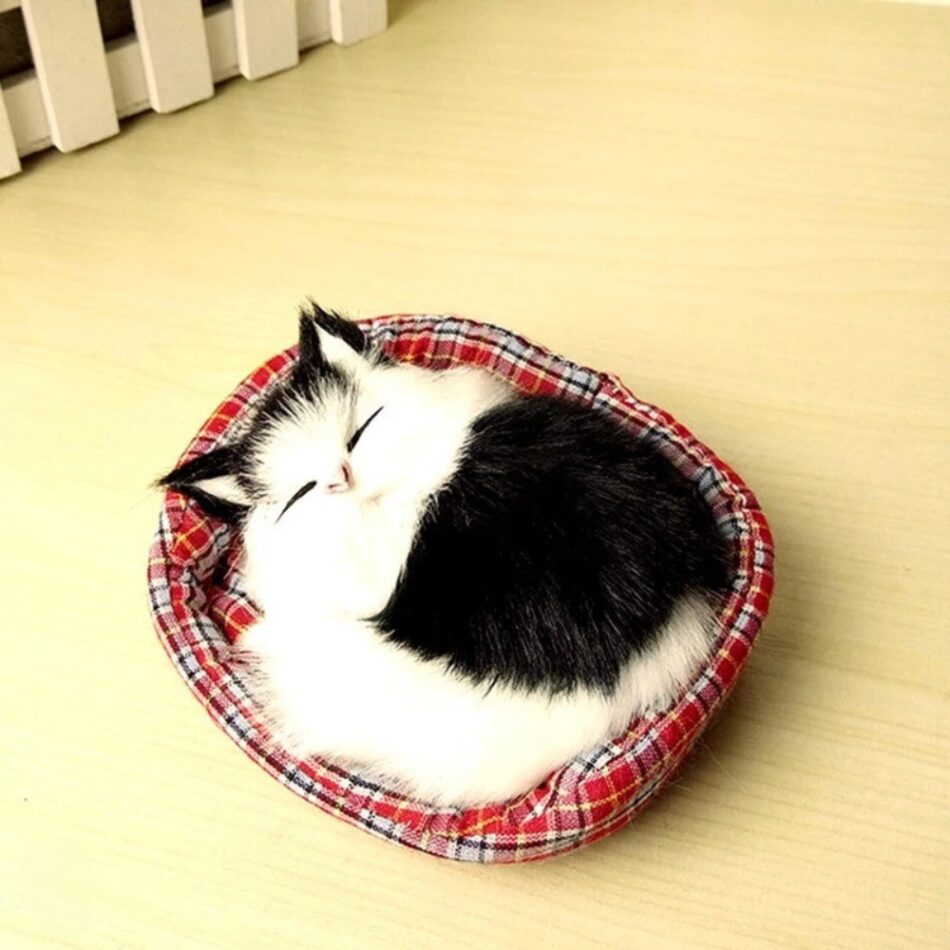 Peluche chat endormi doux câlin univers apaisant Modèle 6 La compagnie de la peluche