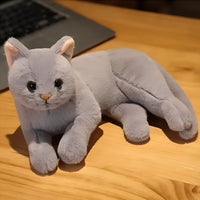 Peluche chat gris moelleux mignon câlin univers félin La compagnie de la peluche