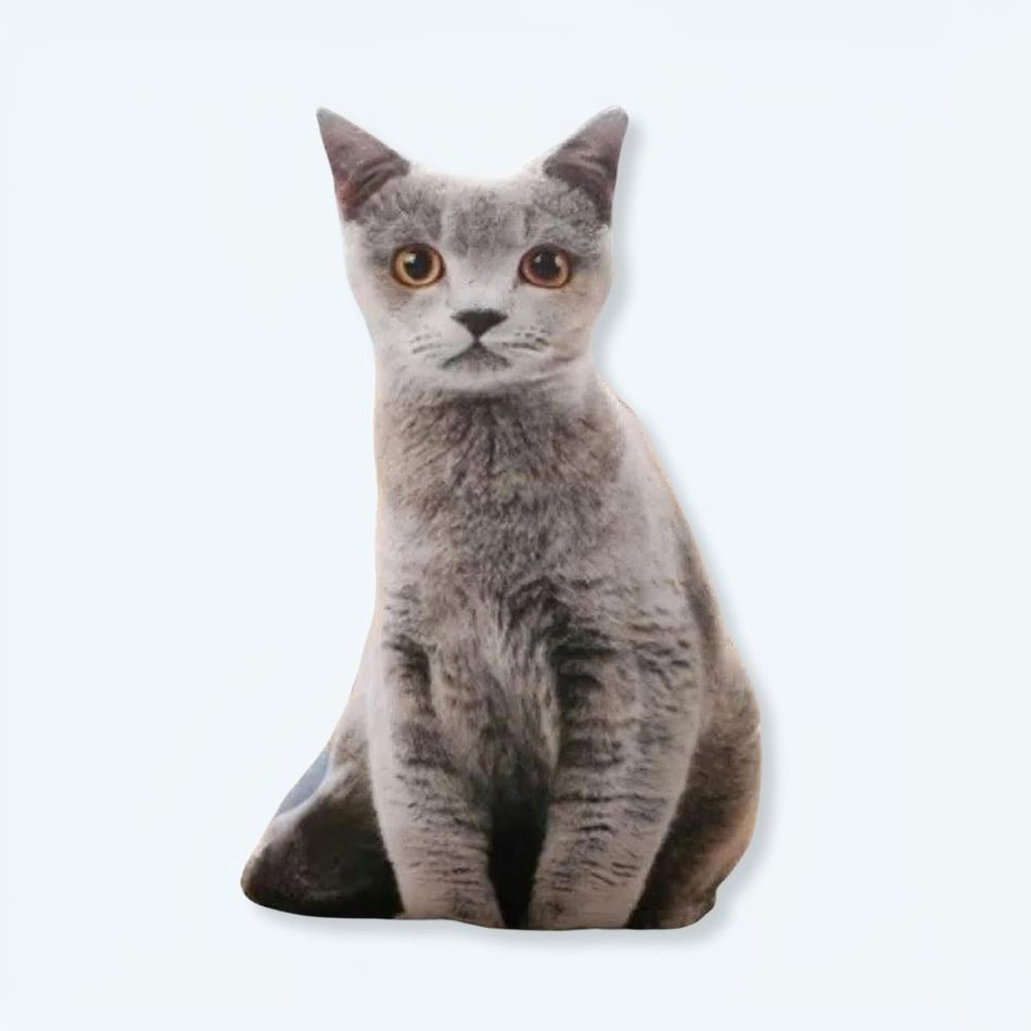 Peluche chat gris oreiller doux cocooning pour enfant 50-cm La compagnie de la peluche