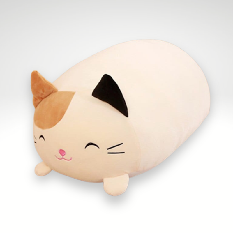 Peluche chat squishmallow bicolore content