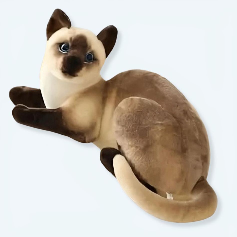 Peluche chat tigré gris doux câlin animal compagnie 20cm La compagnie de la peluche