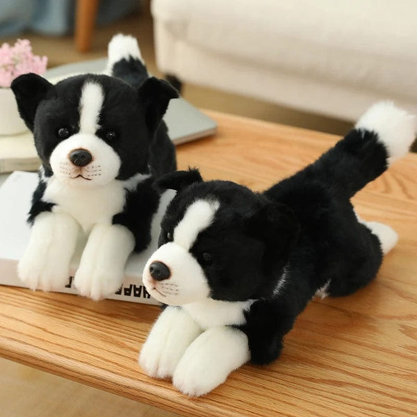 Peluche chien Border collie