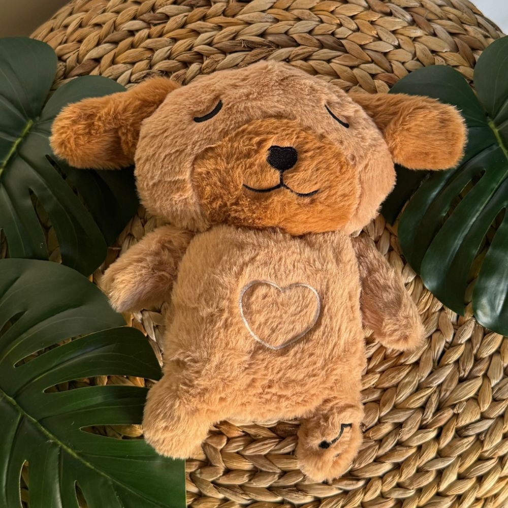 Peluche chien veilleuse douce nuit apaisante enfant La compagnie de la peluche