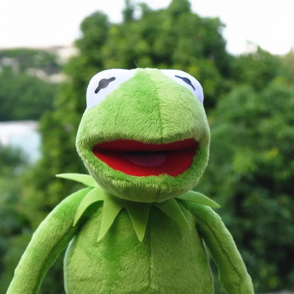 Peluche grenouille Kermit douce verte enfant câlin La compagnie de la peluche