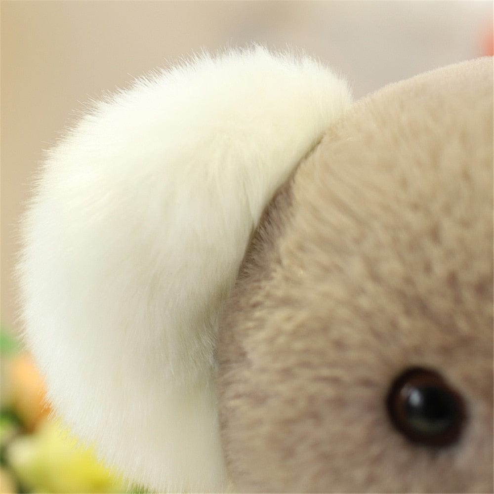 Peluche koala mignon aux grandes oreilles