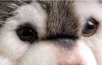 Peluche loup petit et mignon