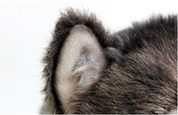 Peluche loup petit et mignon