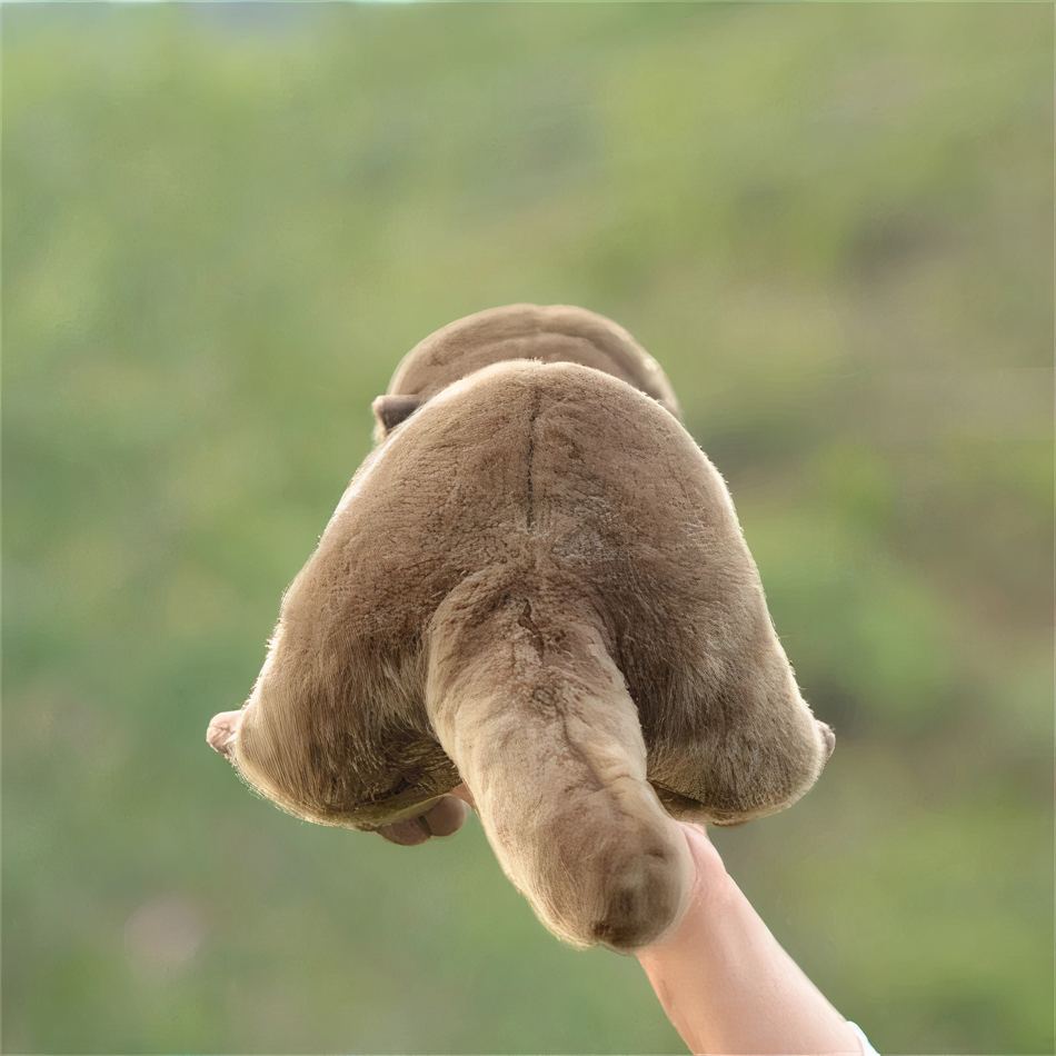 Peluche loutre réaliste douce câline pour enfant La compagnie de la peluche