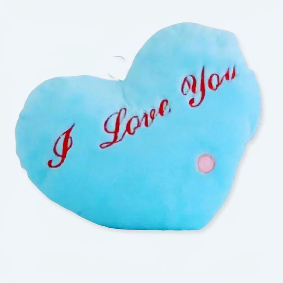 Peluche oreiller bleu doux message amour câlin décor doux La compagnie de la peluche