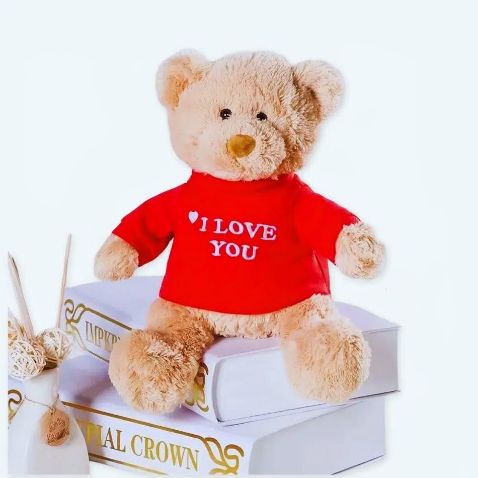 Peluche ourson doux message amour cadeau romantique La compagnie de la peluche