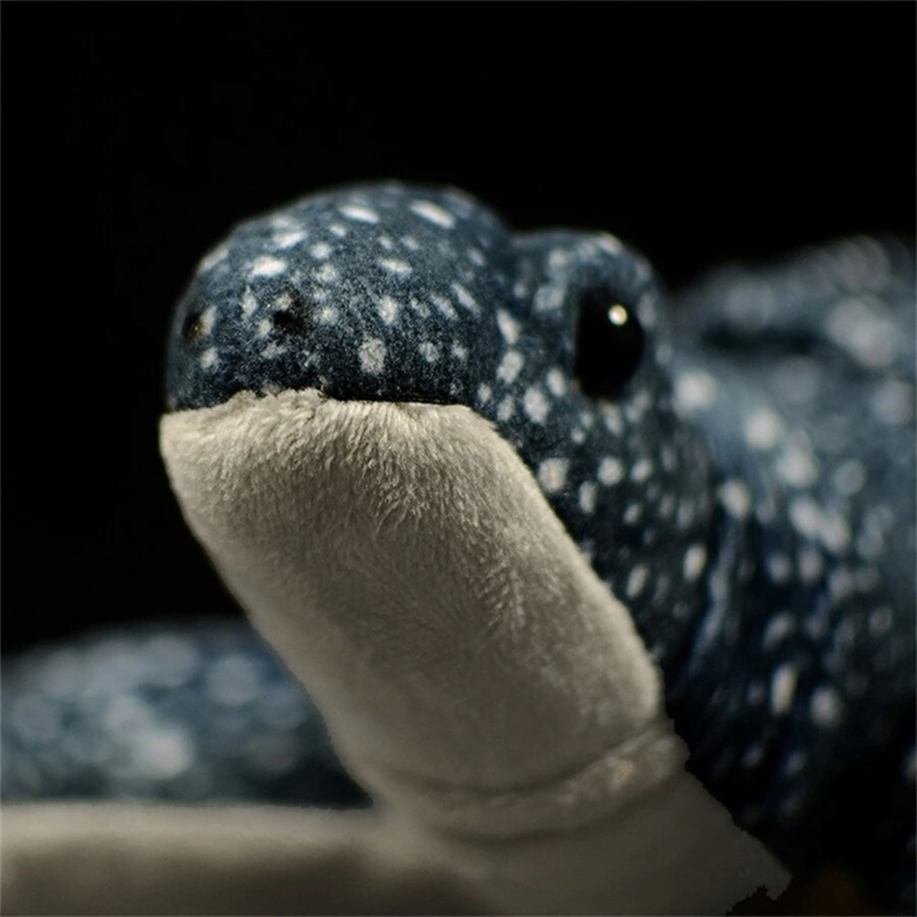 Peluche tortue réaliste